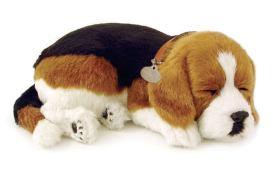 Perfect Petz Beagle
