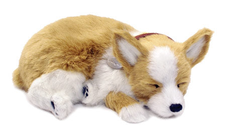 Perfect Petz Corgi