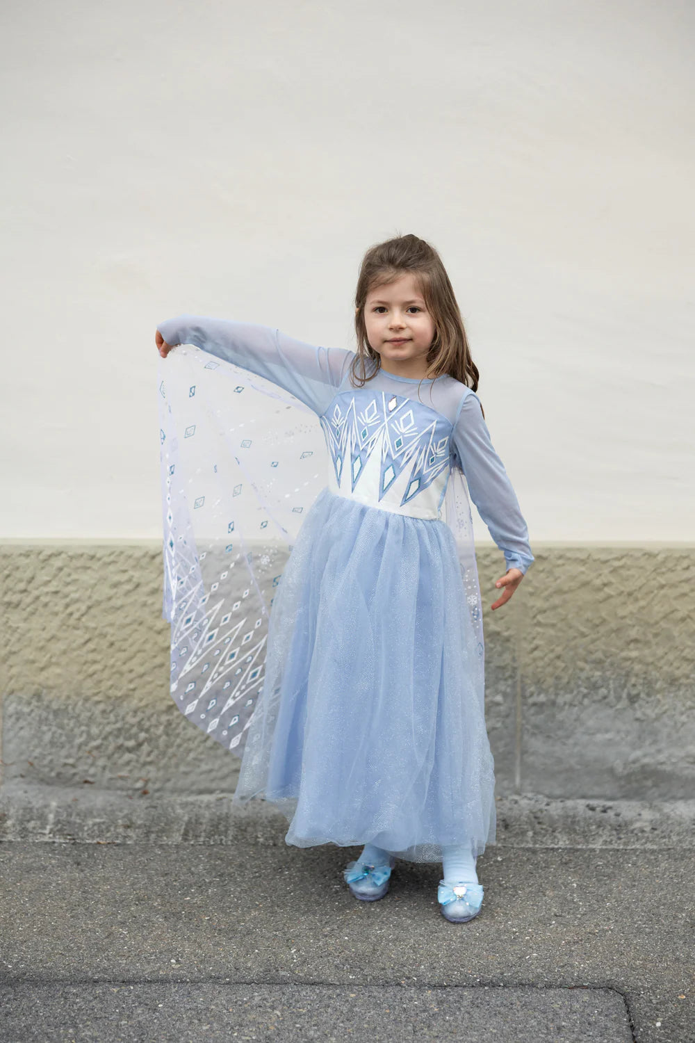 Costume Principessa del Ghiaccio