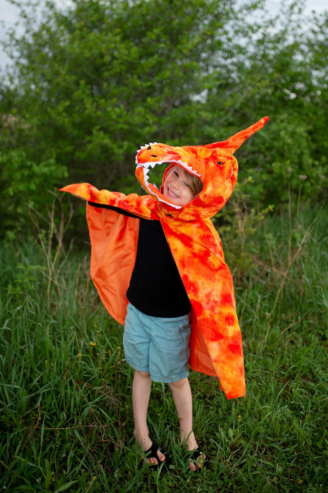 Mantello Pterodattilo
