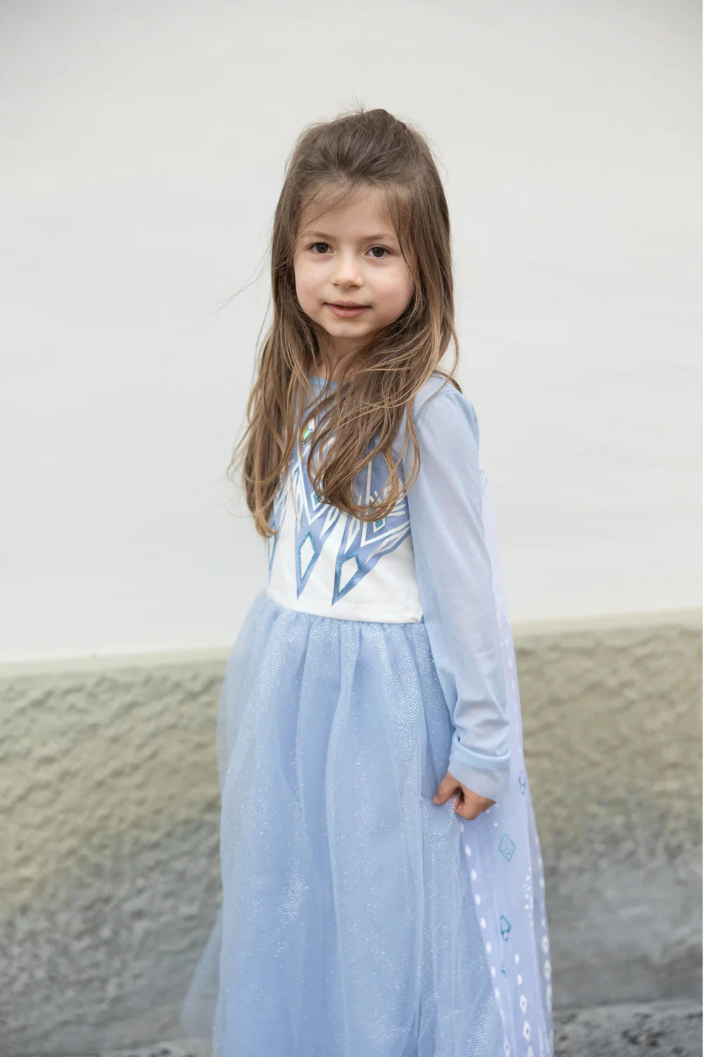 Costume Principessa del Ghiaccio