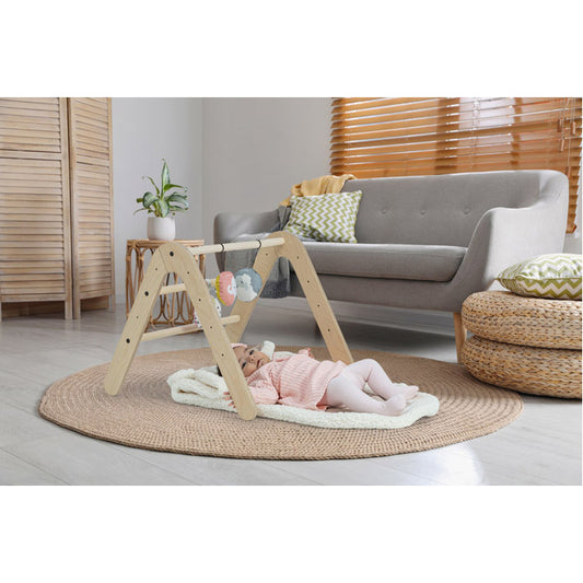 Palestrina-Libreria Montessoriana Gimy