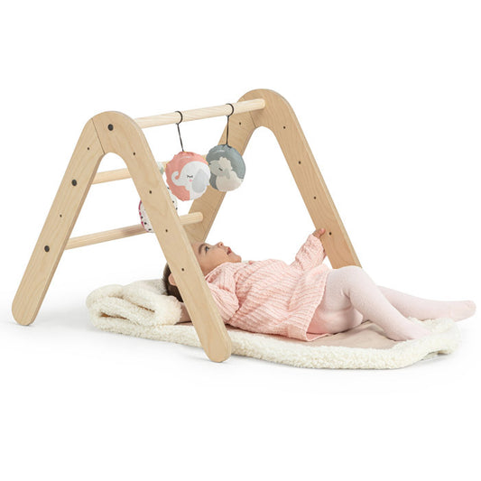 Palestrina-Libreria Montessoriana Gimy