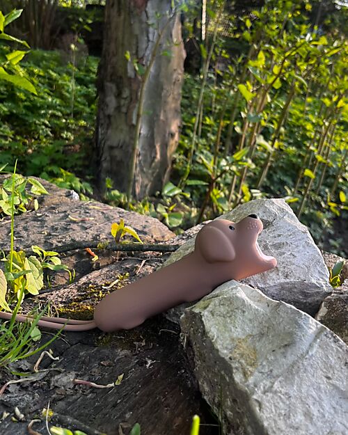 Torcia in Silicone Cane