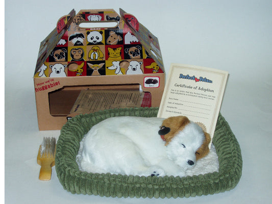 Perfect Petz Jack Russel