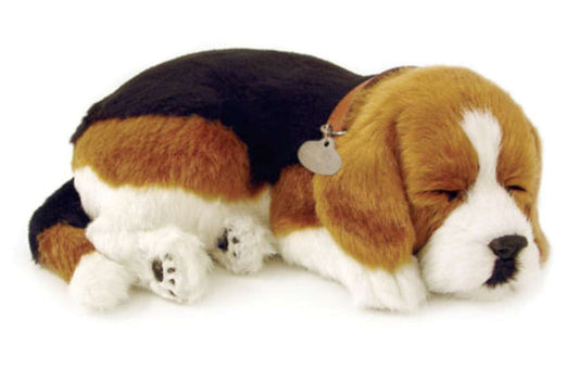 Perfect Petz Beagle