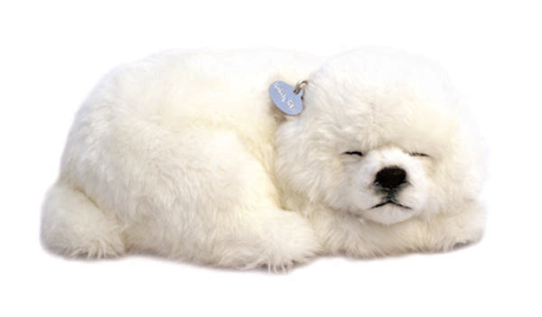 Perfect Petz Maltese