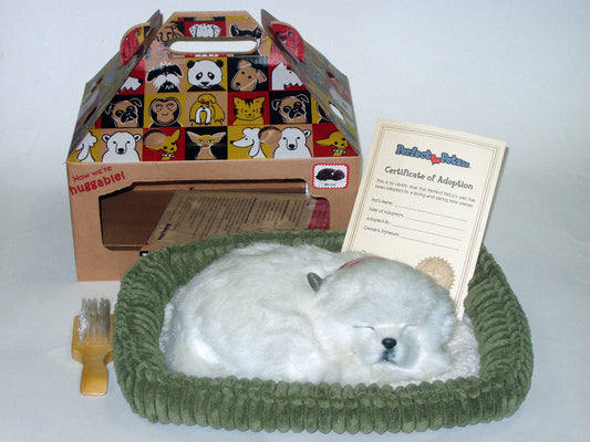 Perfect Petz Maltese