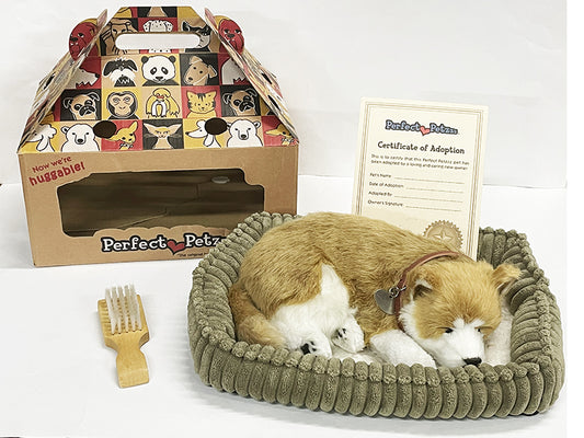 Perfect Petz Corgi